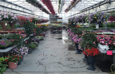 Dom’s Garden Center