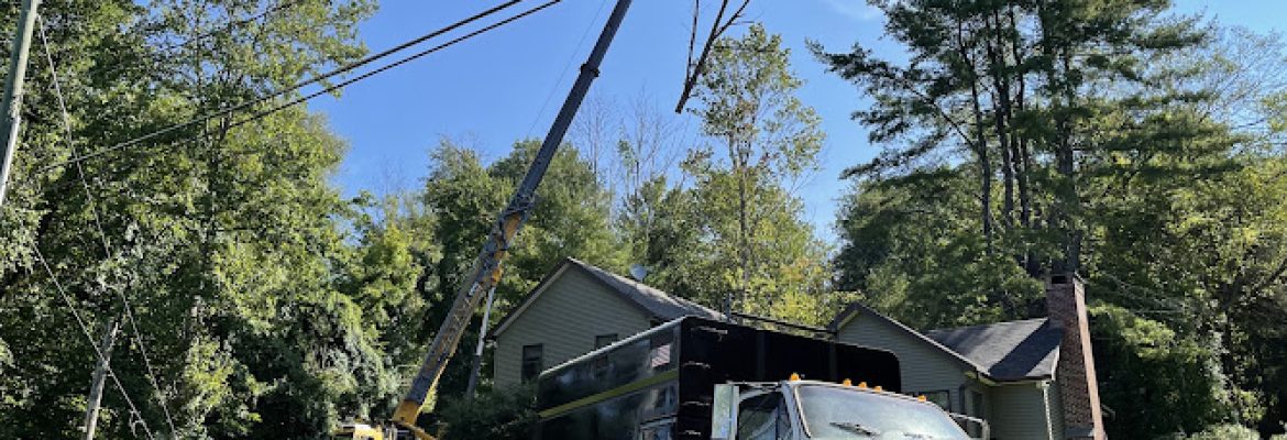 Housatonic Valley Tree Company
