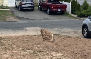 Stump Recycler