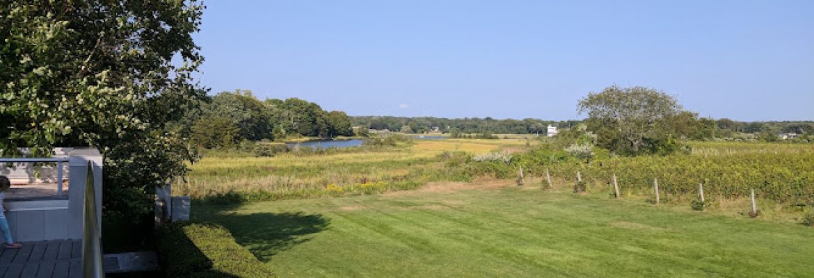 Saltwater Farm Vineyard