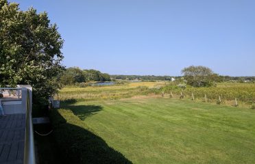 Saltwater Farm Vineyard