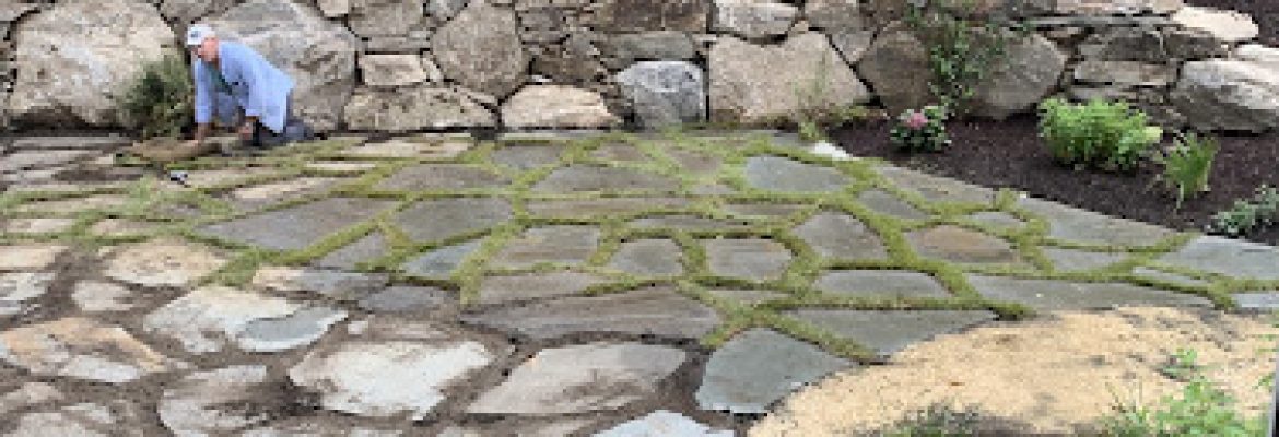 See Level Landscape Design