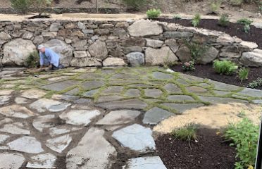 See Level Landscape Design