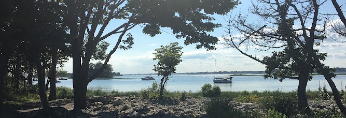 Shea Island