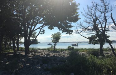 Shea Island