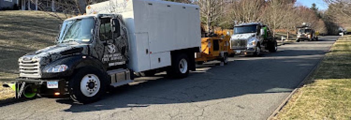 Spear Bro’s Tree Service