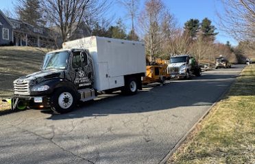 Spear Bro’s Tree Service