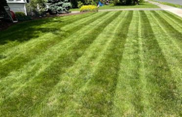 Distinguished Lawns