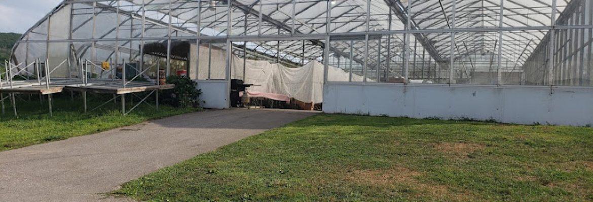Dondero Orchards