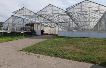 Dondero Orchards