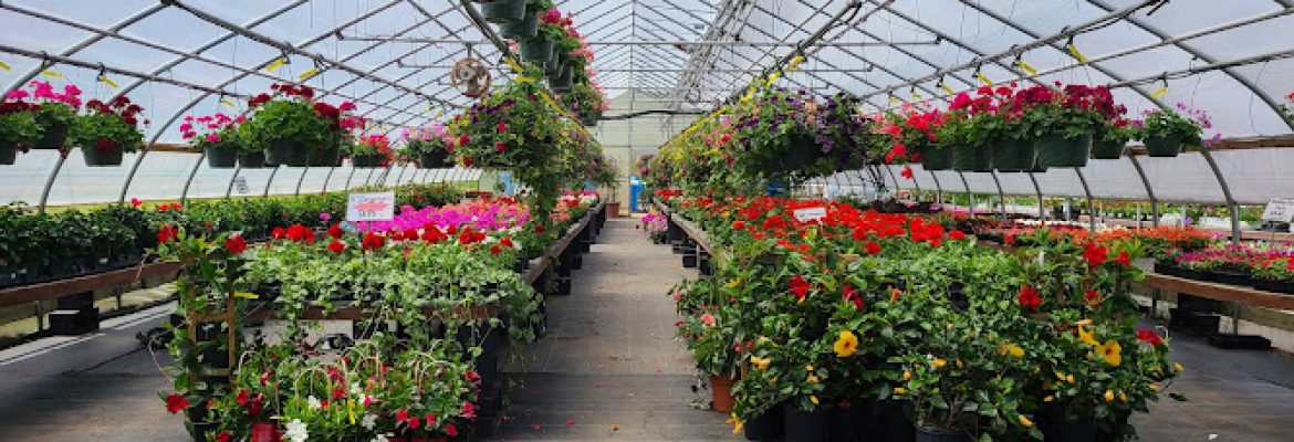 Scotts’ Farm & Greenhouses