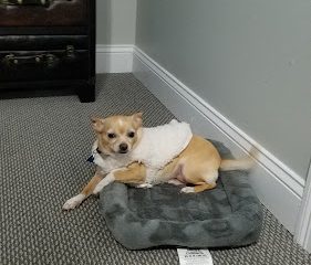 West Haven Animal Shelter