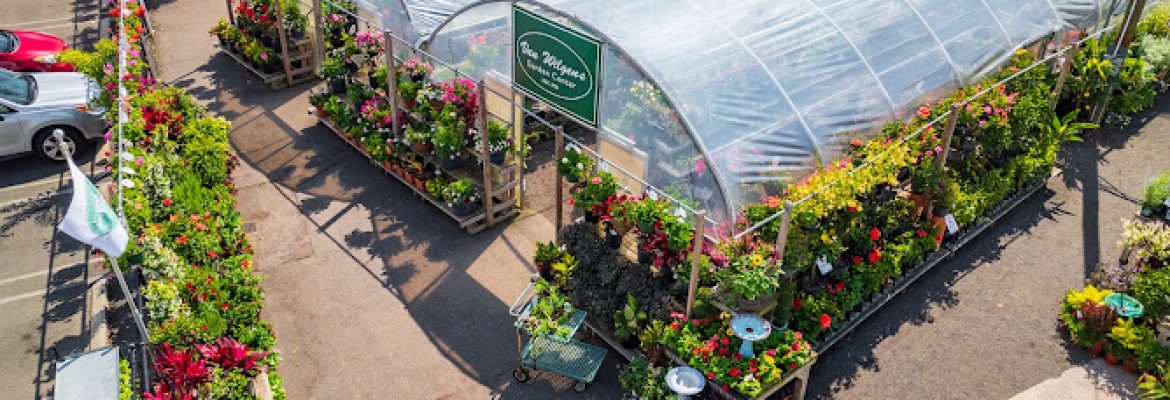 Van Wilgen’s Garden Mart