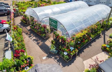 Van Wilgen’s Garden Mart