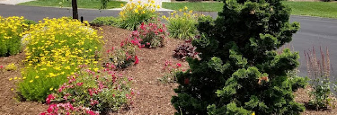 Bahler Brothers | Elegant Outdoor Living