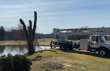 Harkness Tree Services, LLC