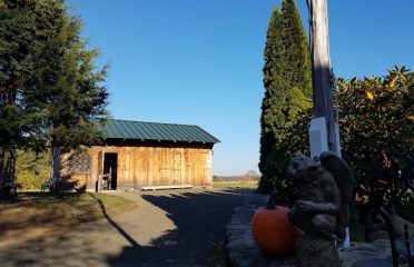 Barn Raisers
