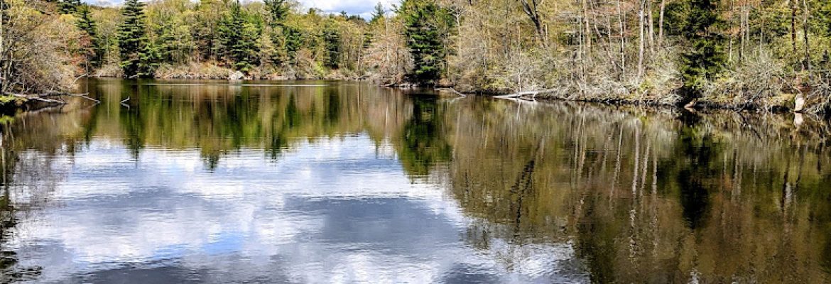 White Memorial – Beaver Pond Trail