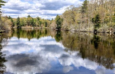 White Memorial – Beaver Pond Trail