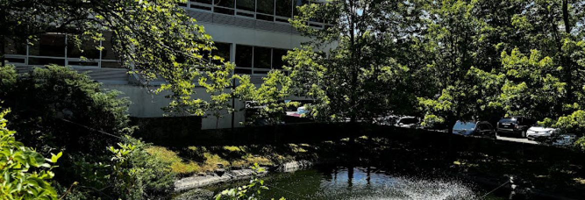 Specialty Surgeons of Connecticut