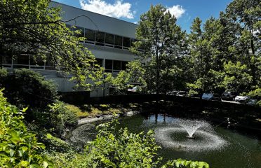 Specialty Surgeons of Connecticut