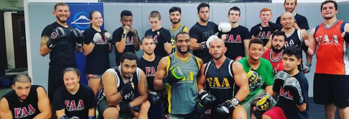 Fighting Arts Academy CT
