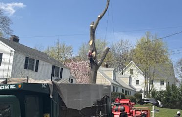 Rangel Landscaping & Contracting Inc.