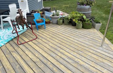 Mike’s Painting Service LLC