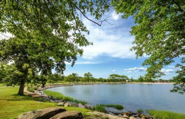 Cove Island