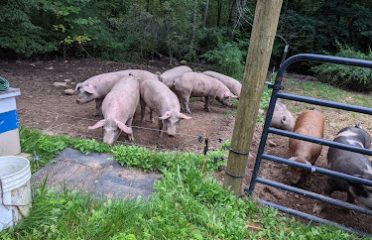 East Willow Farm