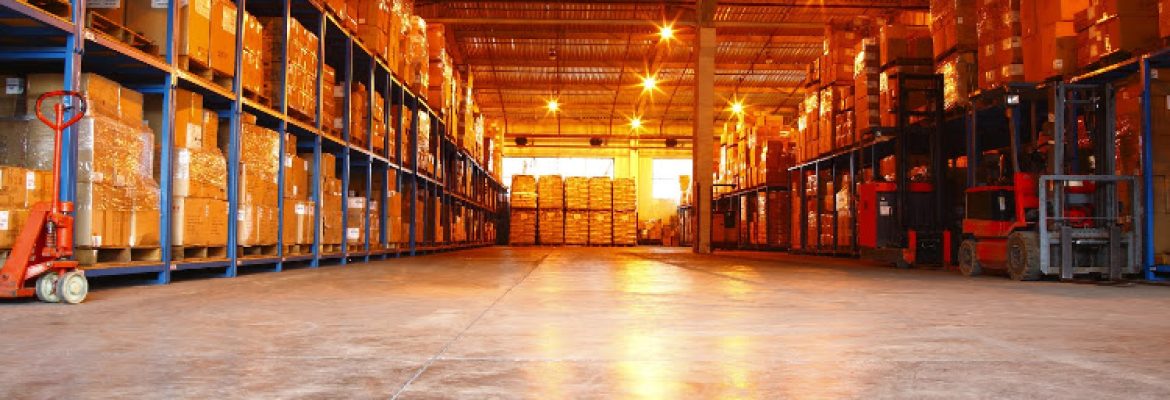 Yale Termite & Pest Elimination Corp.