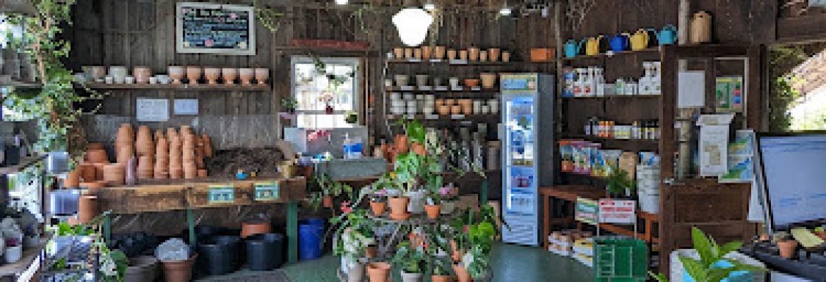 Logee’s Plants for Home & Garden