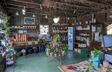 Logee’s Plants for Home & Garden