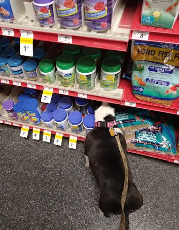 Petco