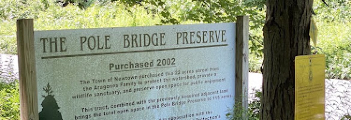 The Pole Bridge Preserve