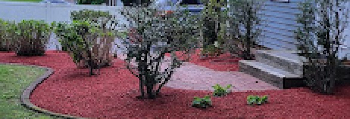 Amorales landscaping services llc & tree removal