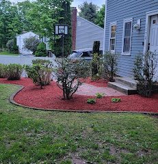Amorales landscaping services llc & tree removal