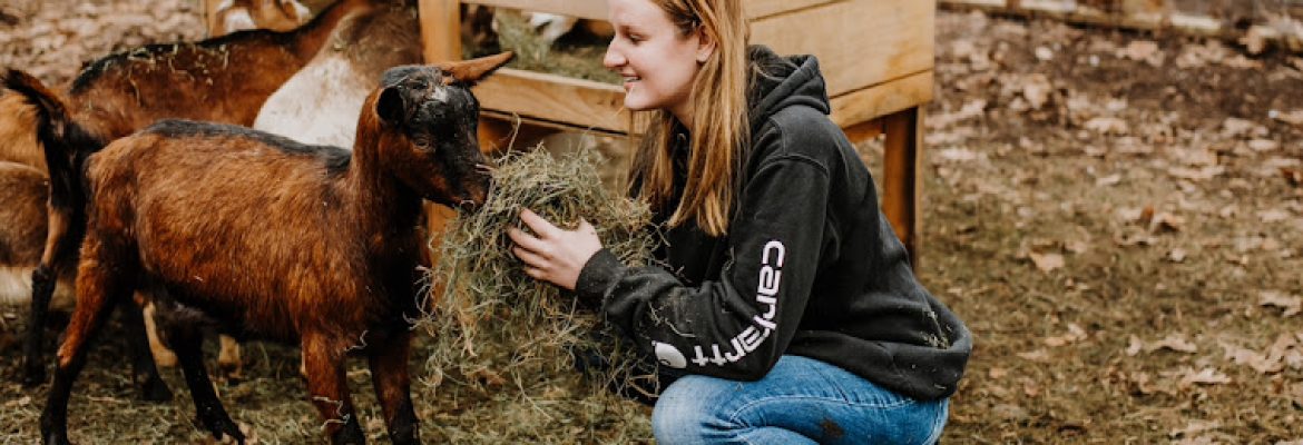 Guided by Goats