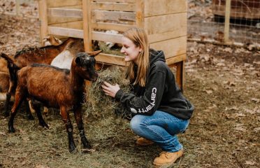 Guided by Goats