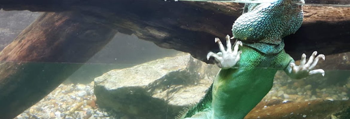 The Maritime Aquarium at Norwalk