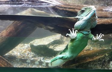 The Maritime Aquarium at Norwalk
