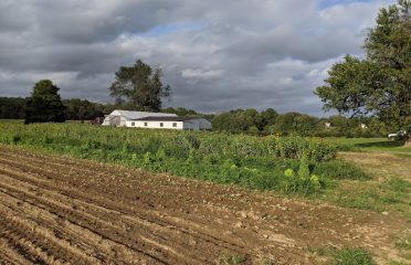 Treat Farm