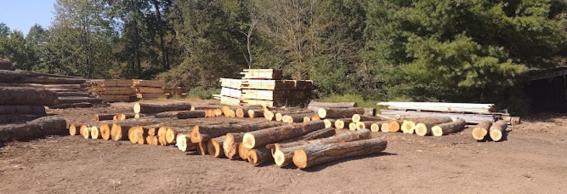 Peter Marlowe Forest Products