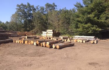 Peter Marlowe Forest Products