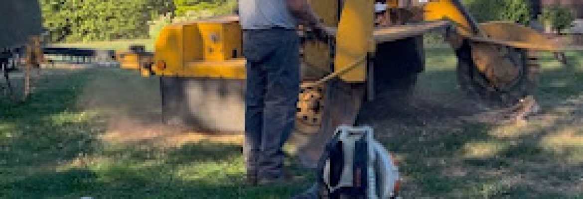 White Hills Tree Removal LLC
