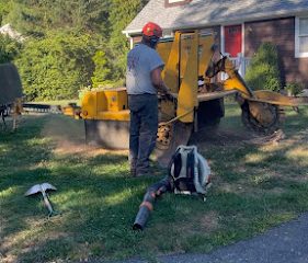 White Hills Tree Removal LLC