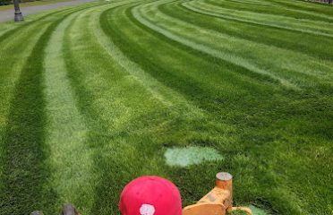 Beebe Landscape Services Inc