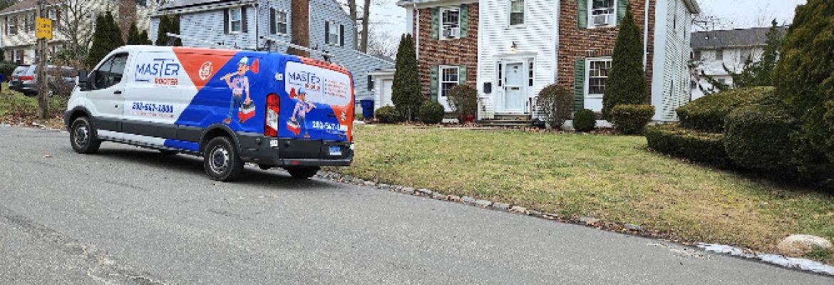 Master Rooter: Sewer and Drain Cleaning Service