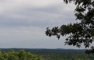 Whitaker Woods Nature Preserve