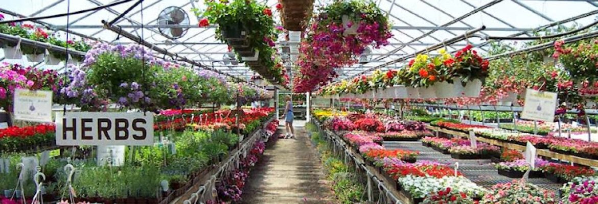 Nutmeg Farm Garden Center